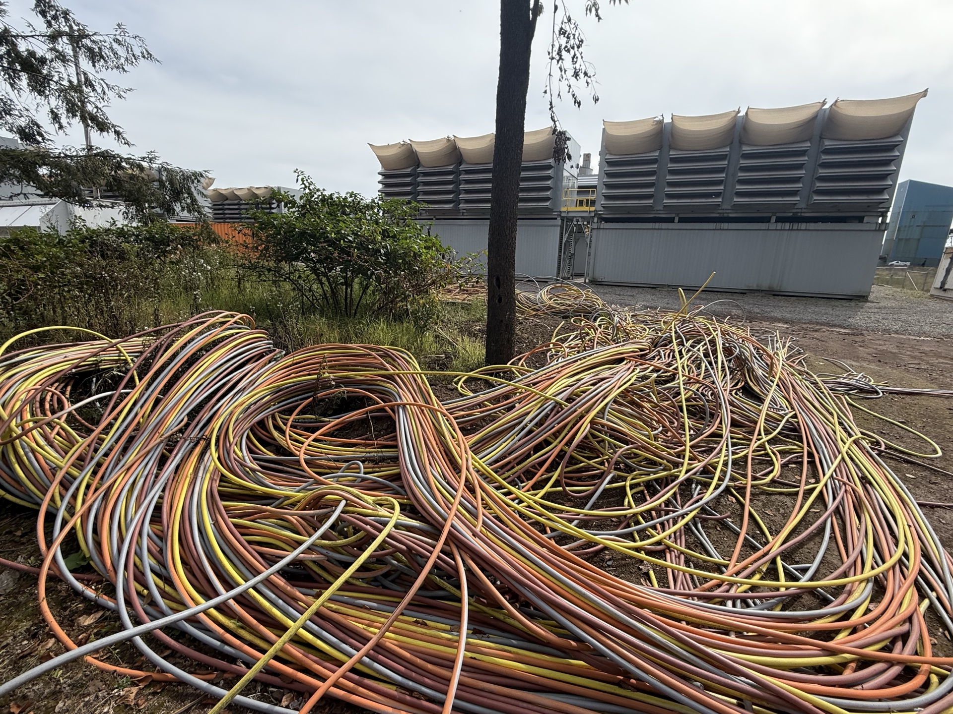 Commercial electrical conductor grouped for condition review